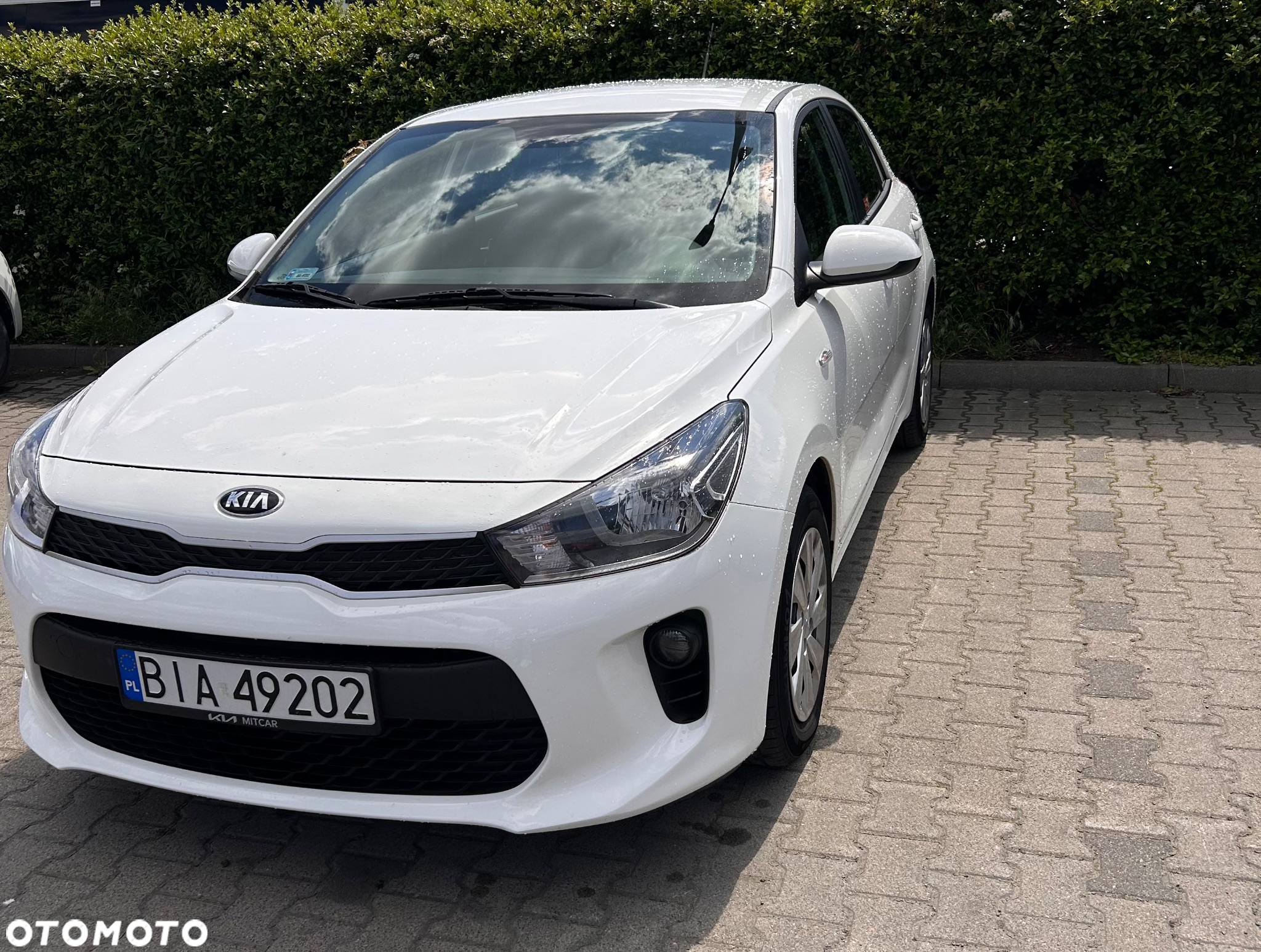 Kia Rio 1.2 Business Line - 2