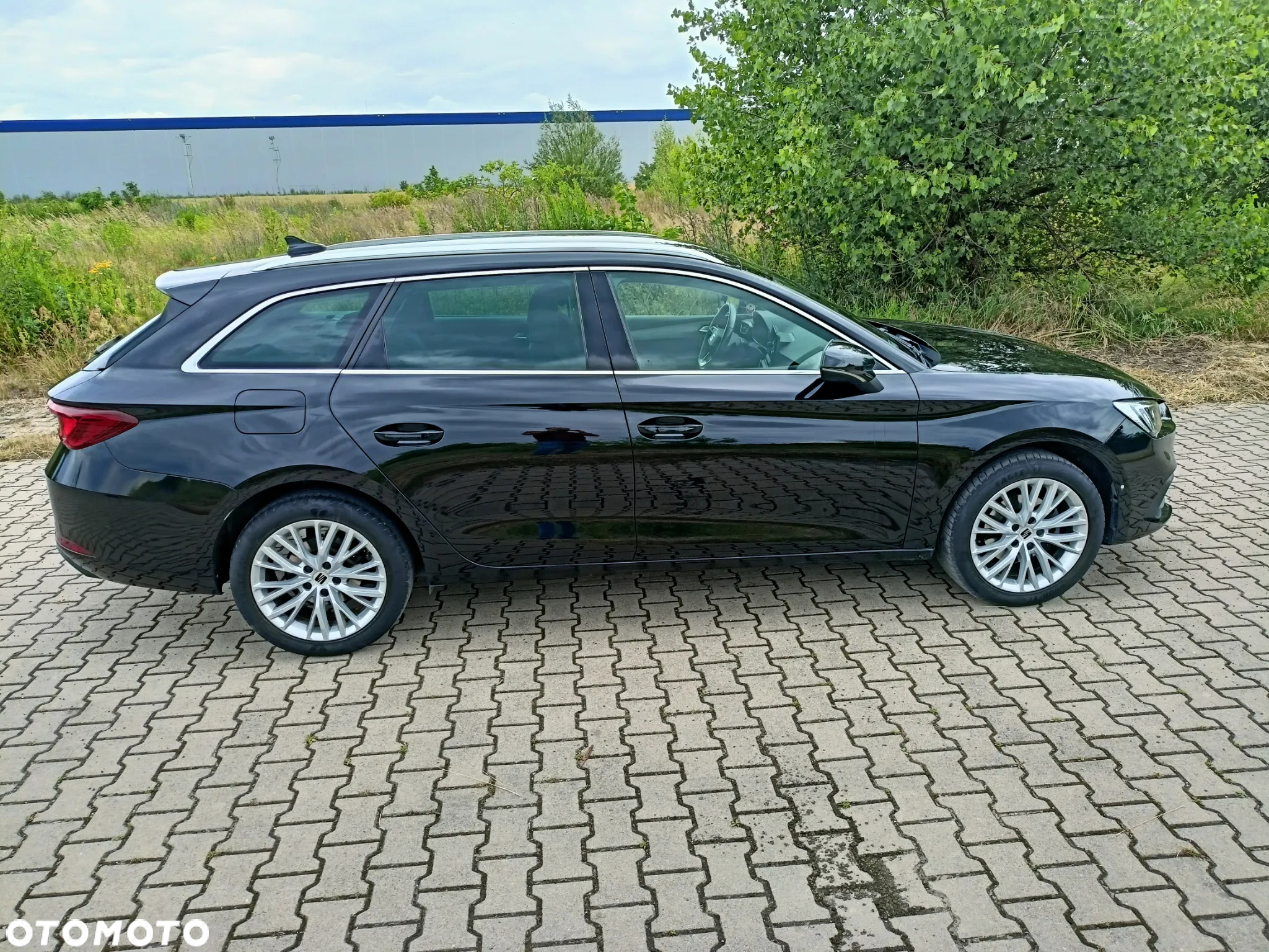 Seat Leon 1.5 EcoTSI Evo Xcellence S&S DSG - 8