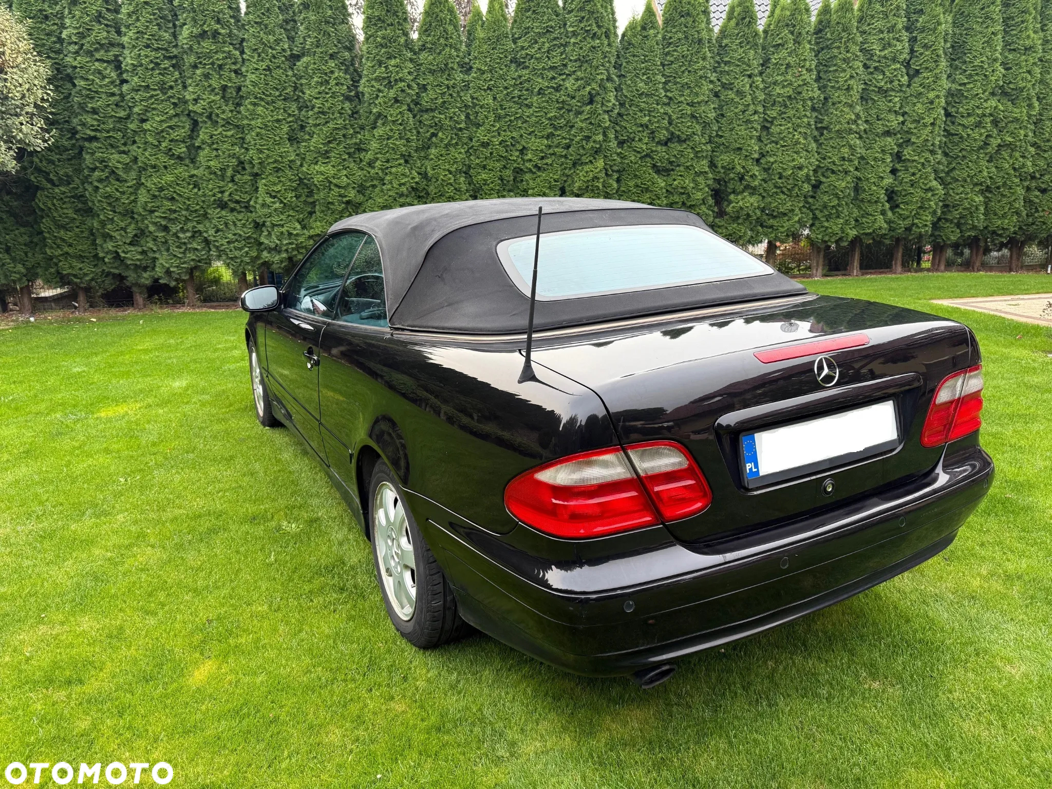 Mercedes-Benz CLK - 6