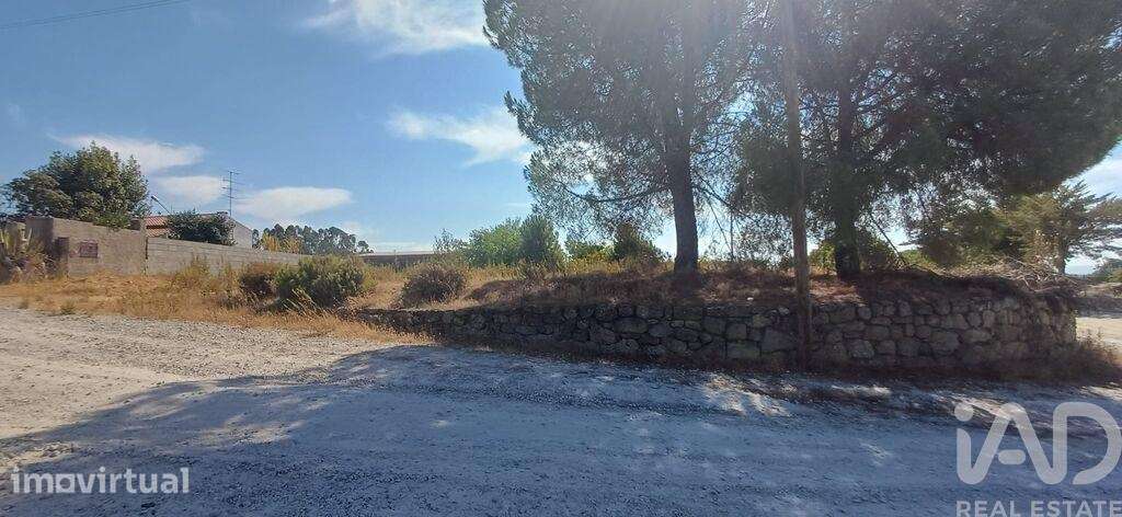 Terreno para construção em Castelo Branco - Grande imagem: 3/10