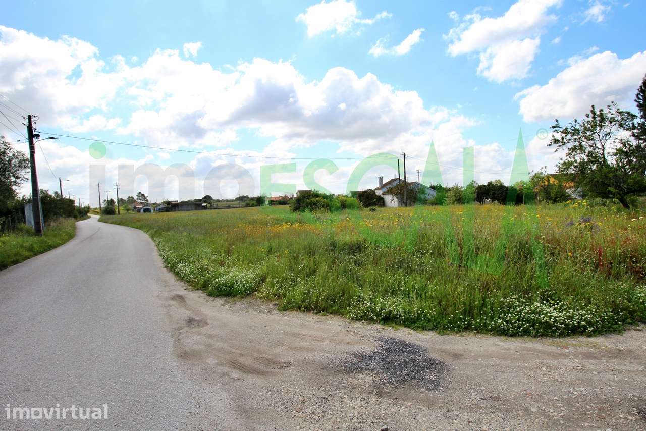 Terreno com área total de 6720 m² no Cartaxo - Grande imagem: 5/27