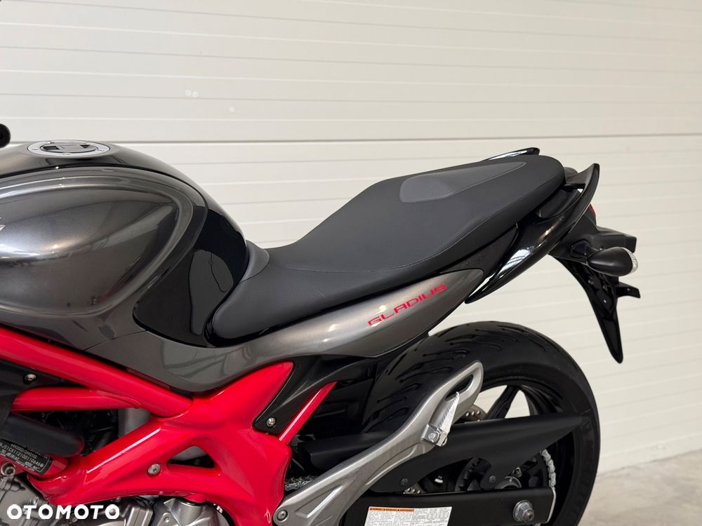 Suzuki Gladius - 34