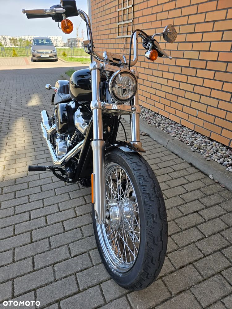 Harley-Davidson Softail Standard - 15