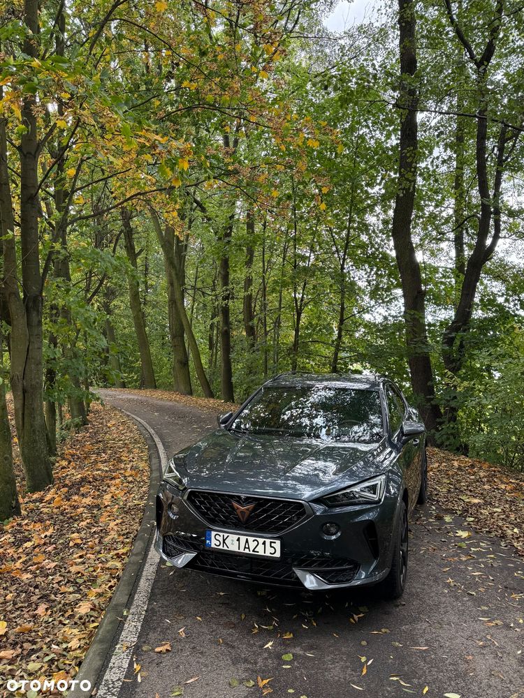 Cupra Formentor 2024 photo 5