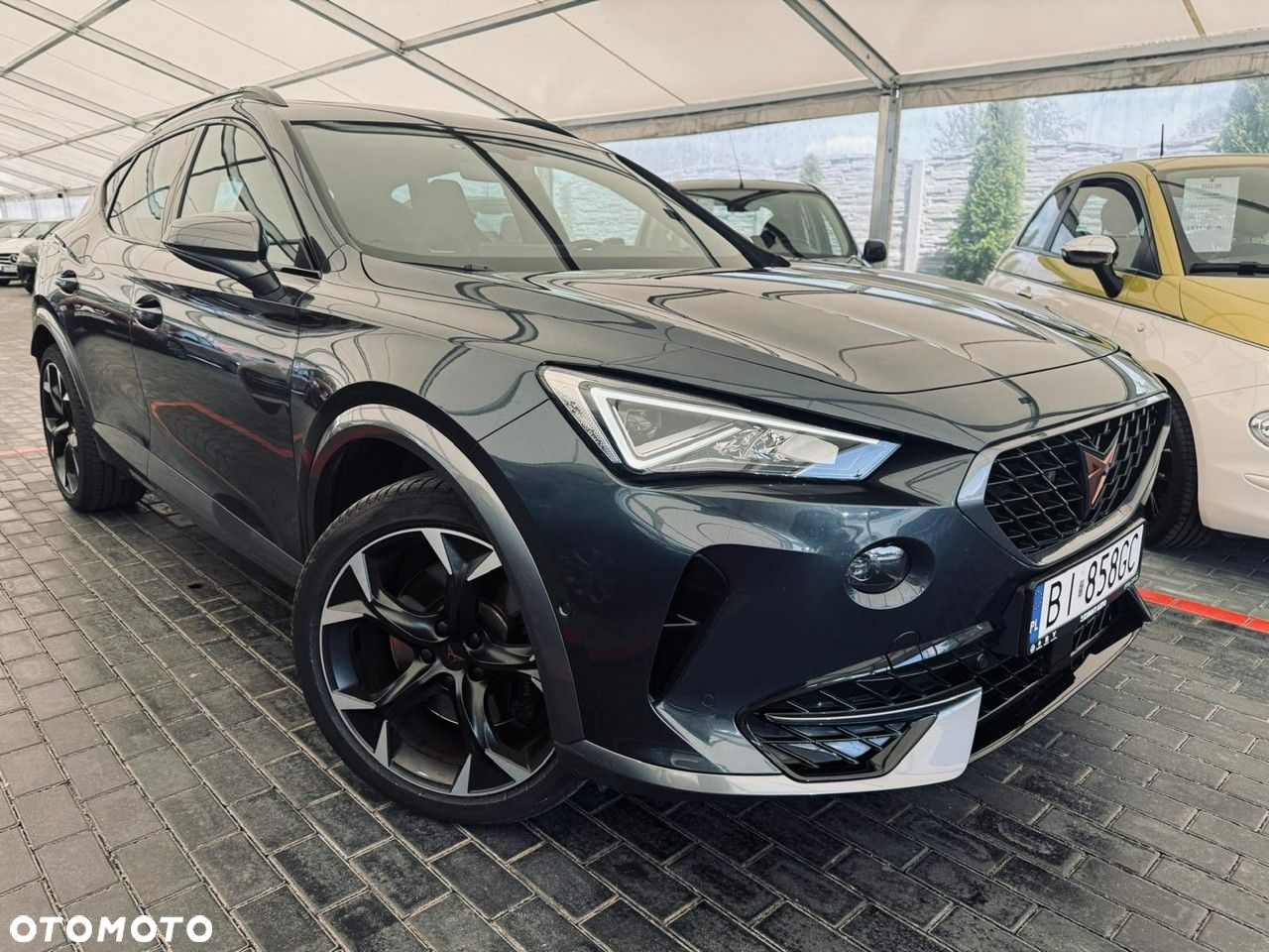 Cupra Formentor - 2