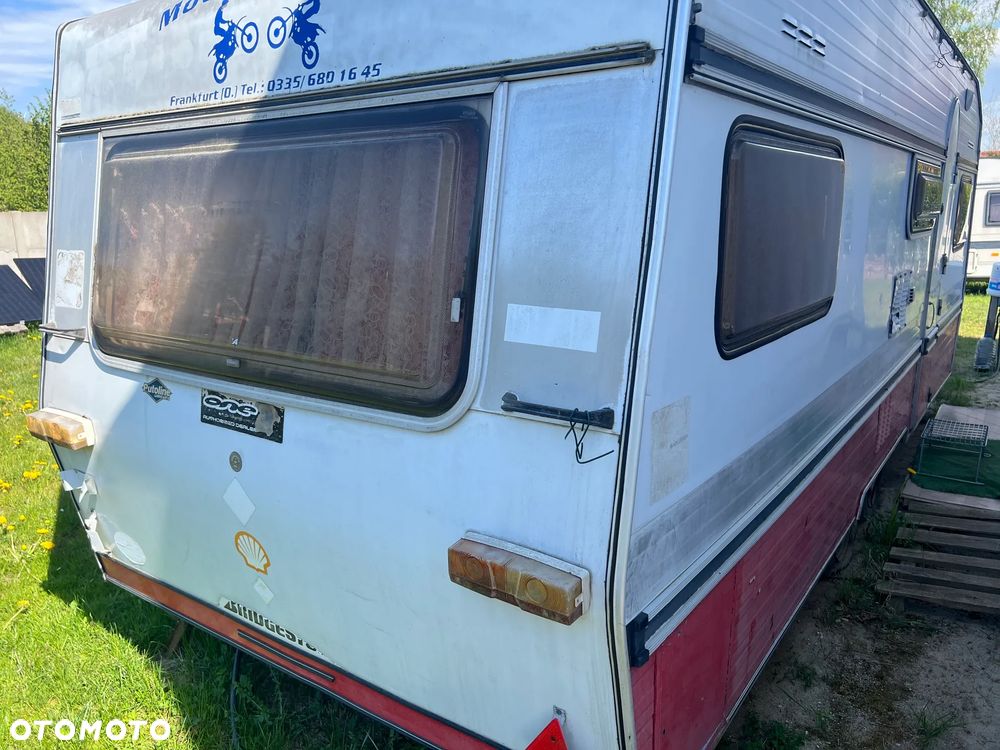 Wilk CI SAFARI 531 - 4