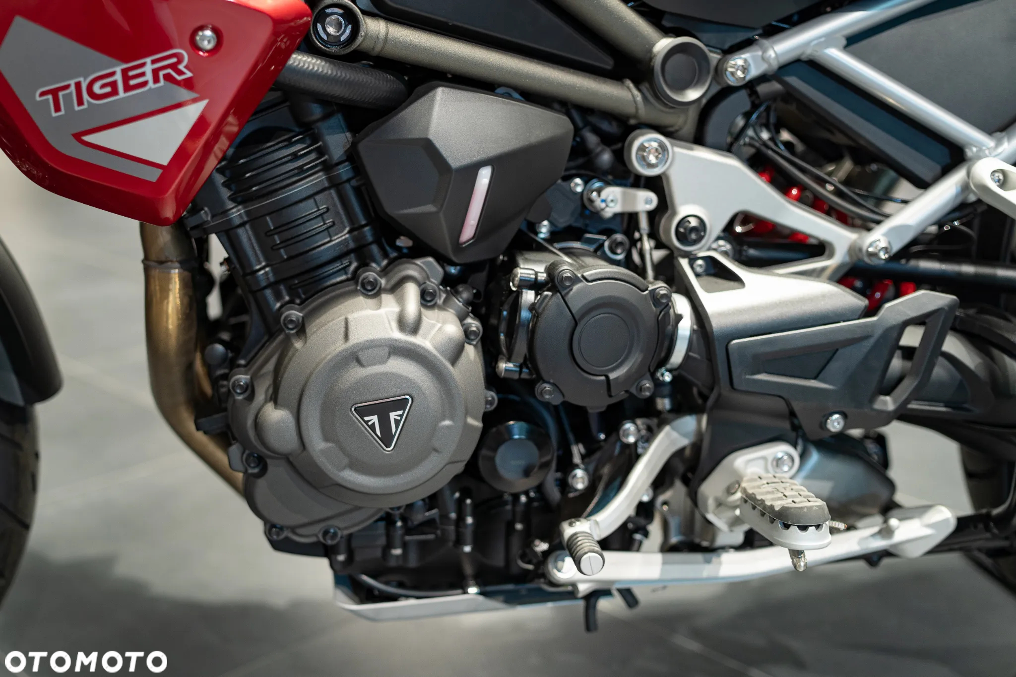 Triumph Tiger - 25