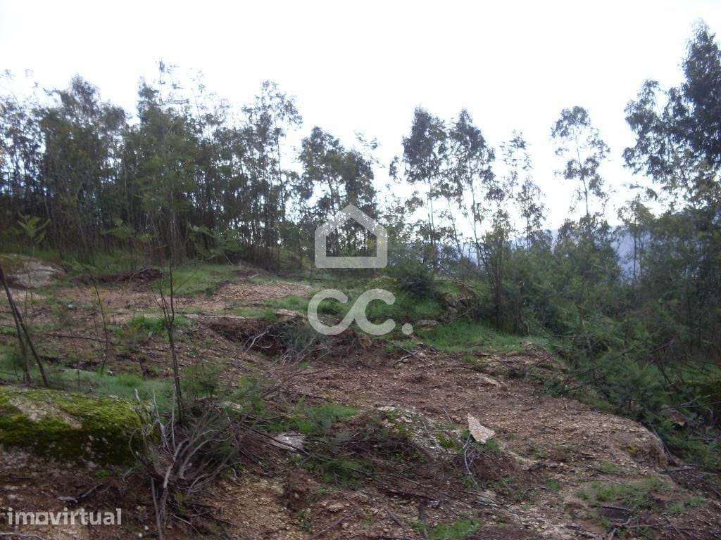 Terreno para moradia - Terreno Construção - Grande imagem: 3/6