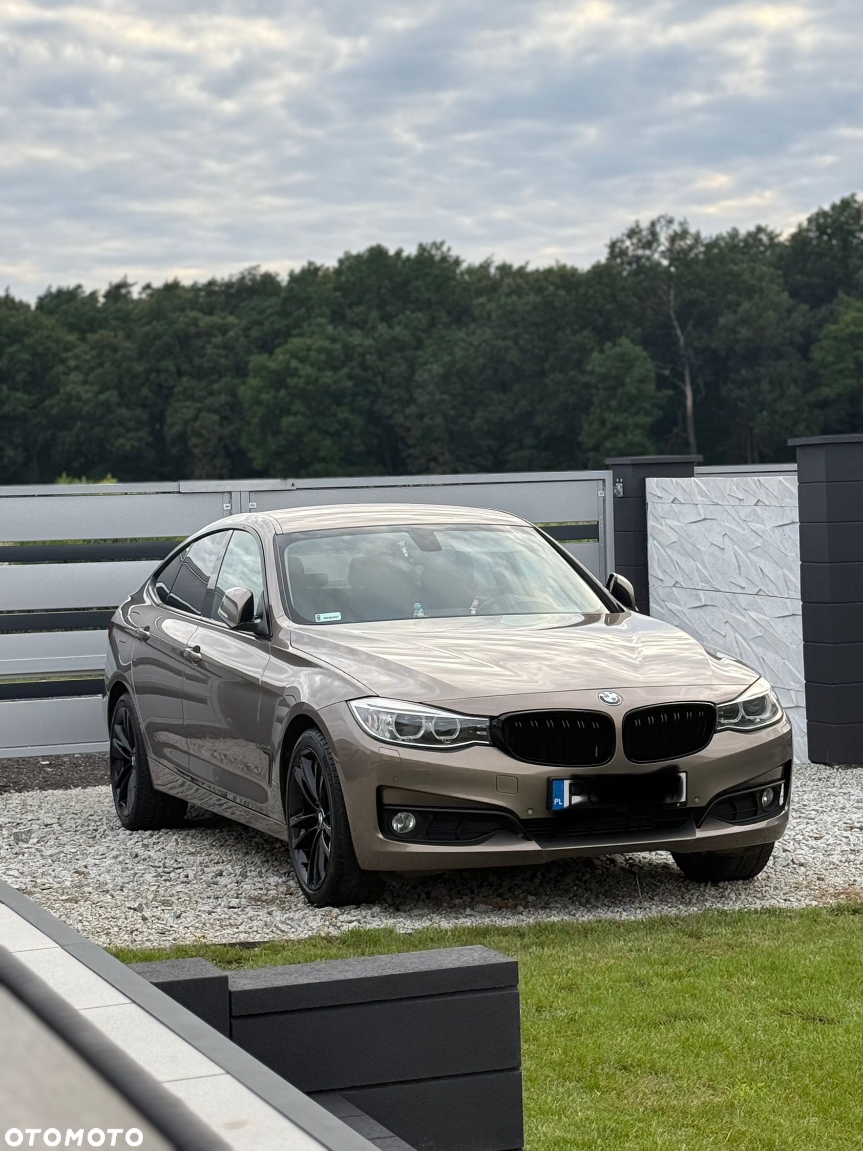 BMW 3GT - 1