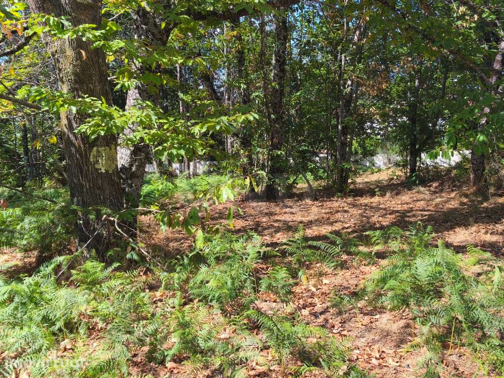 Prédio rústico em zona de construção - Grande imagem: 2/8