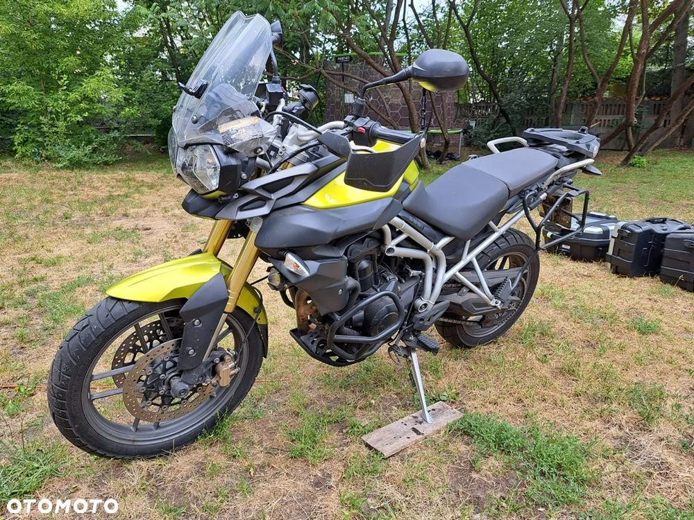 Triumph Tiger - 4
