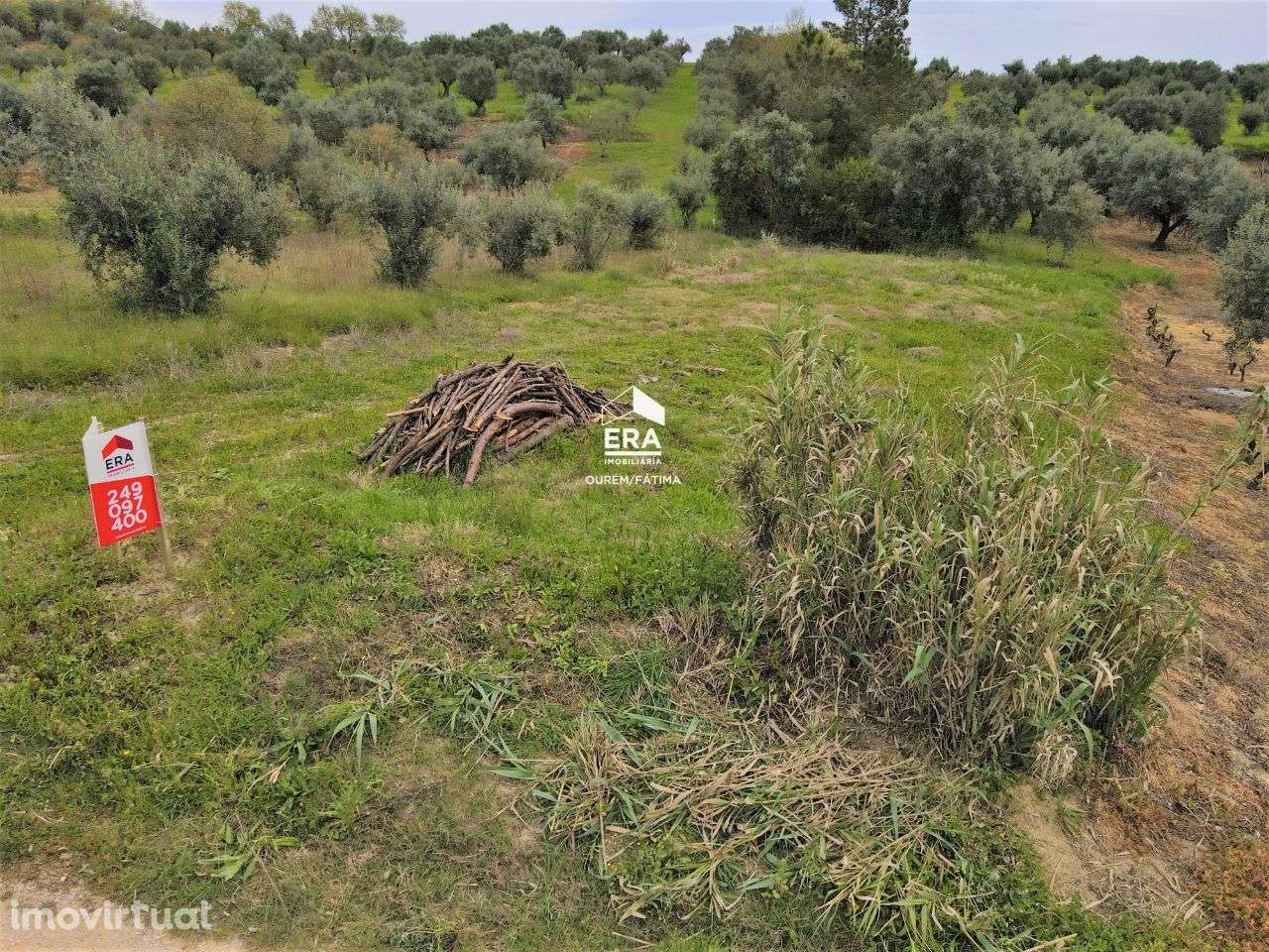 Terreno localizado em Seiça! - Grande imagem: 2/15