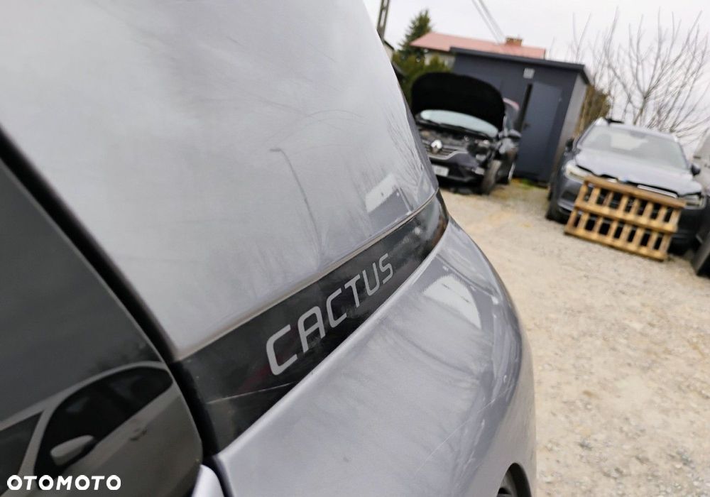 Citroën C4 Cactus - 19