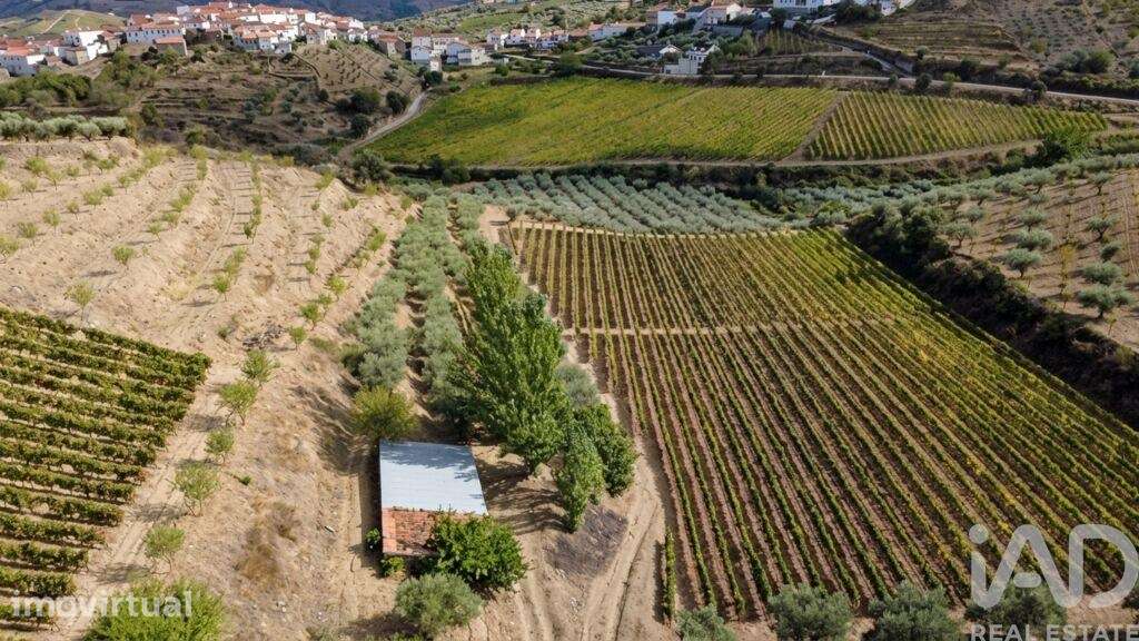 Quinta agricola em Cedovim de 94323 m2 - Grande imagem: 5/22