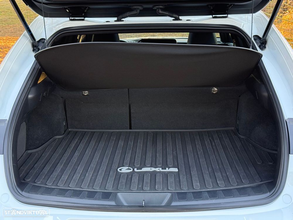 Lexus UX 250h F Sport - 15