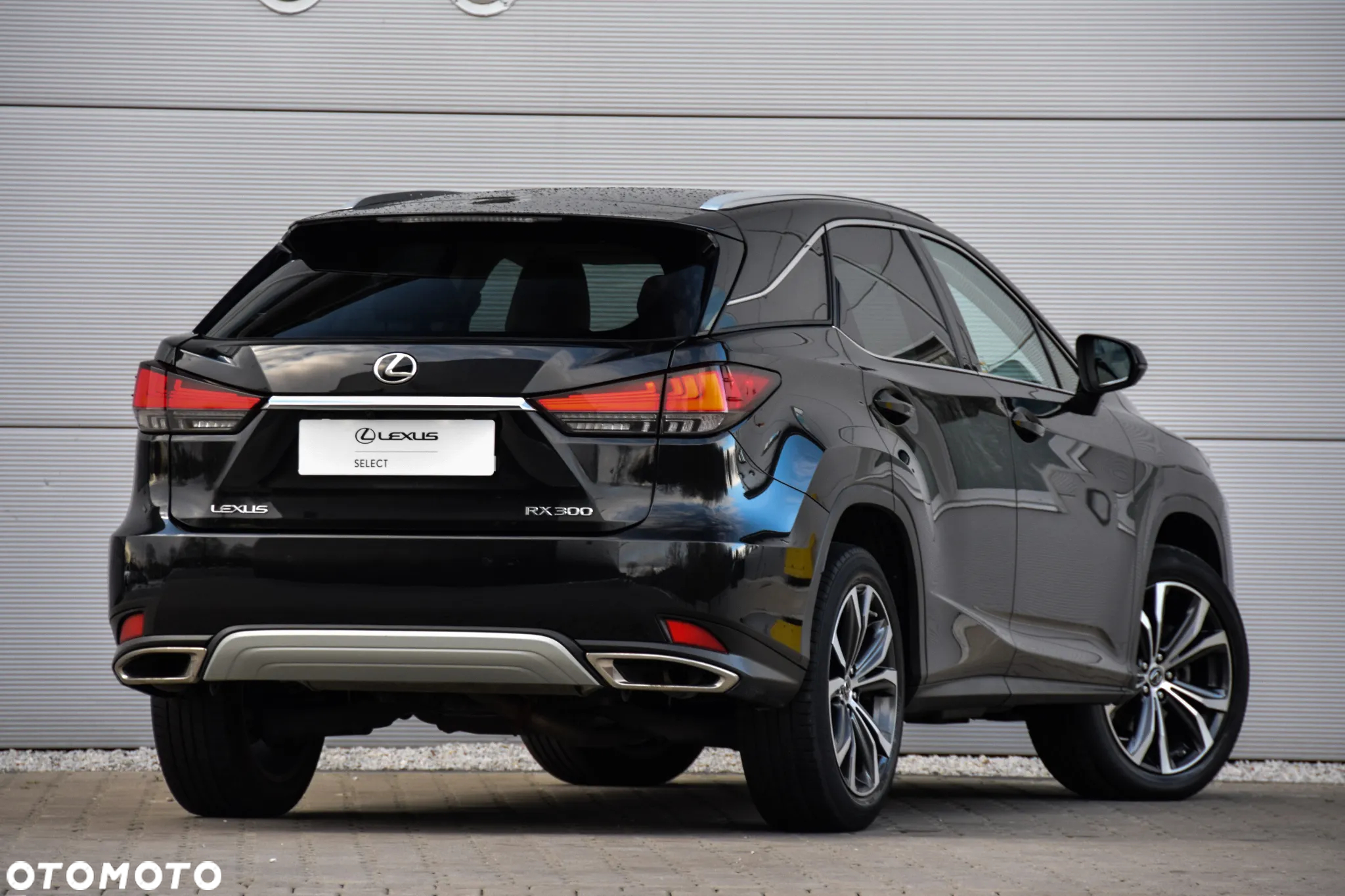 Lexus RX 300 Business Edition + - 6