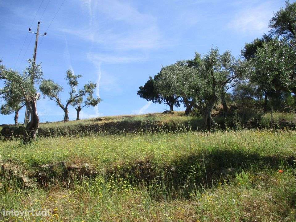 Quinta - Grande imagem: 4/10