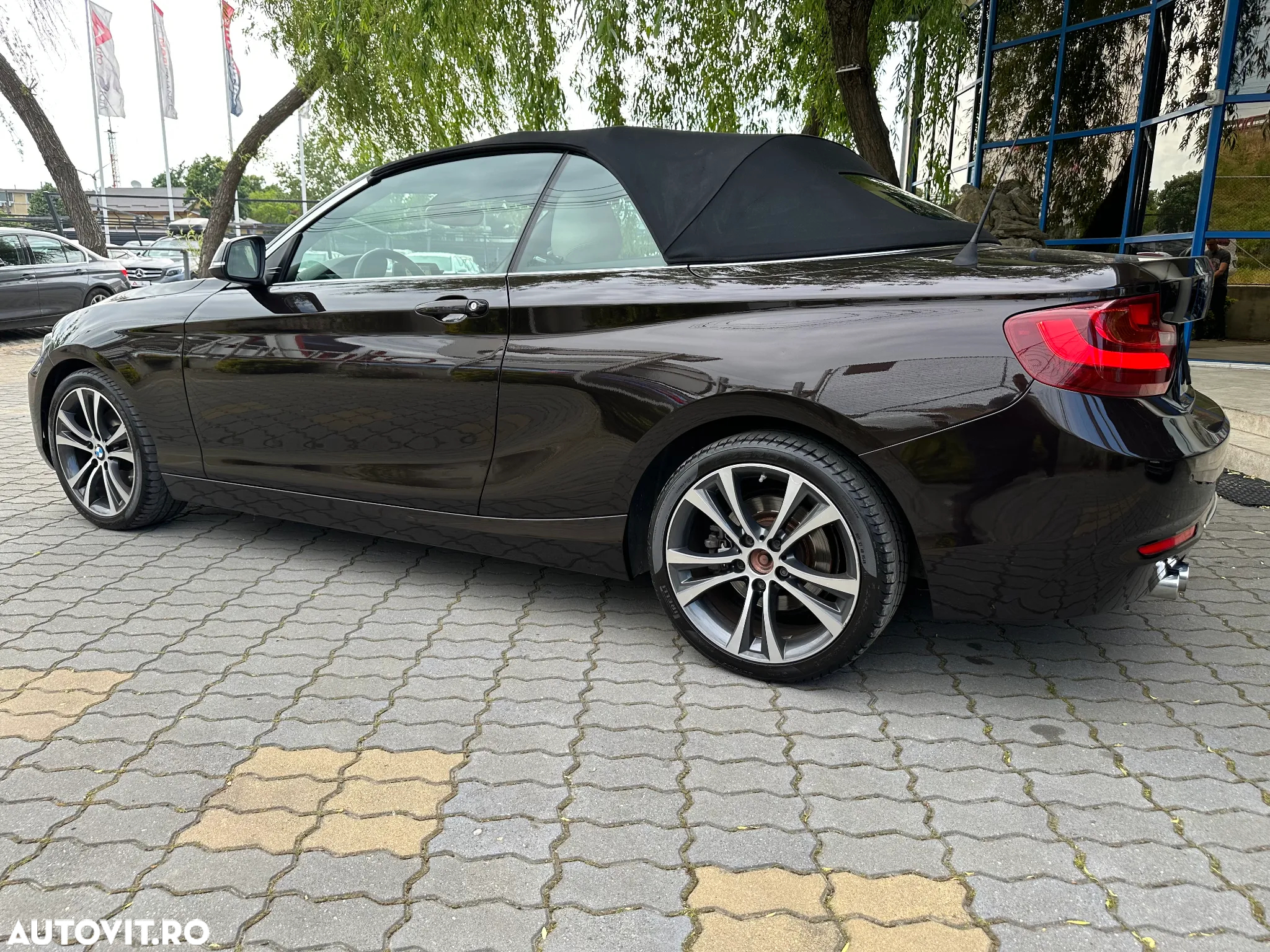 BMW Seria 2 220d Cabrio Aut. Luxury Line - 14