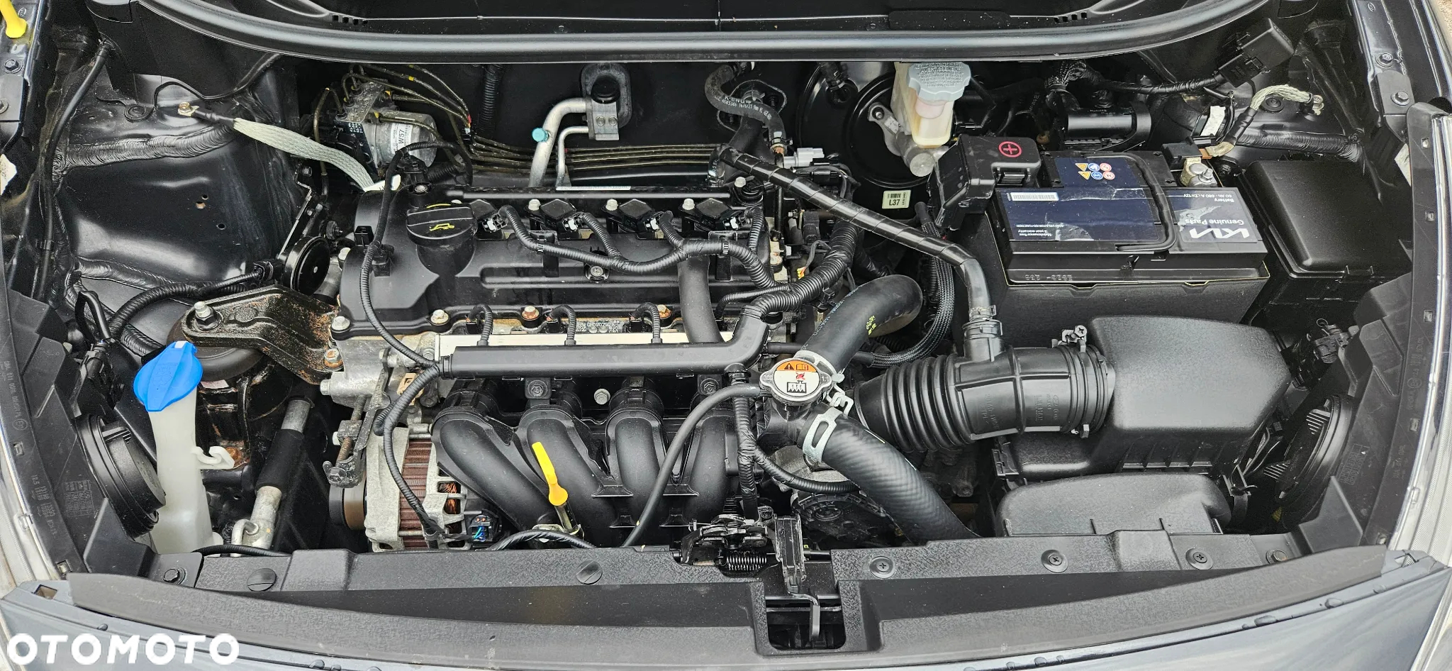 Kia Rio 1.2 Business Line Plus - 17
