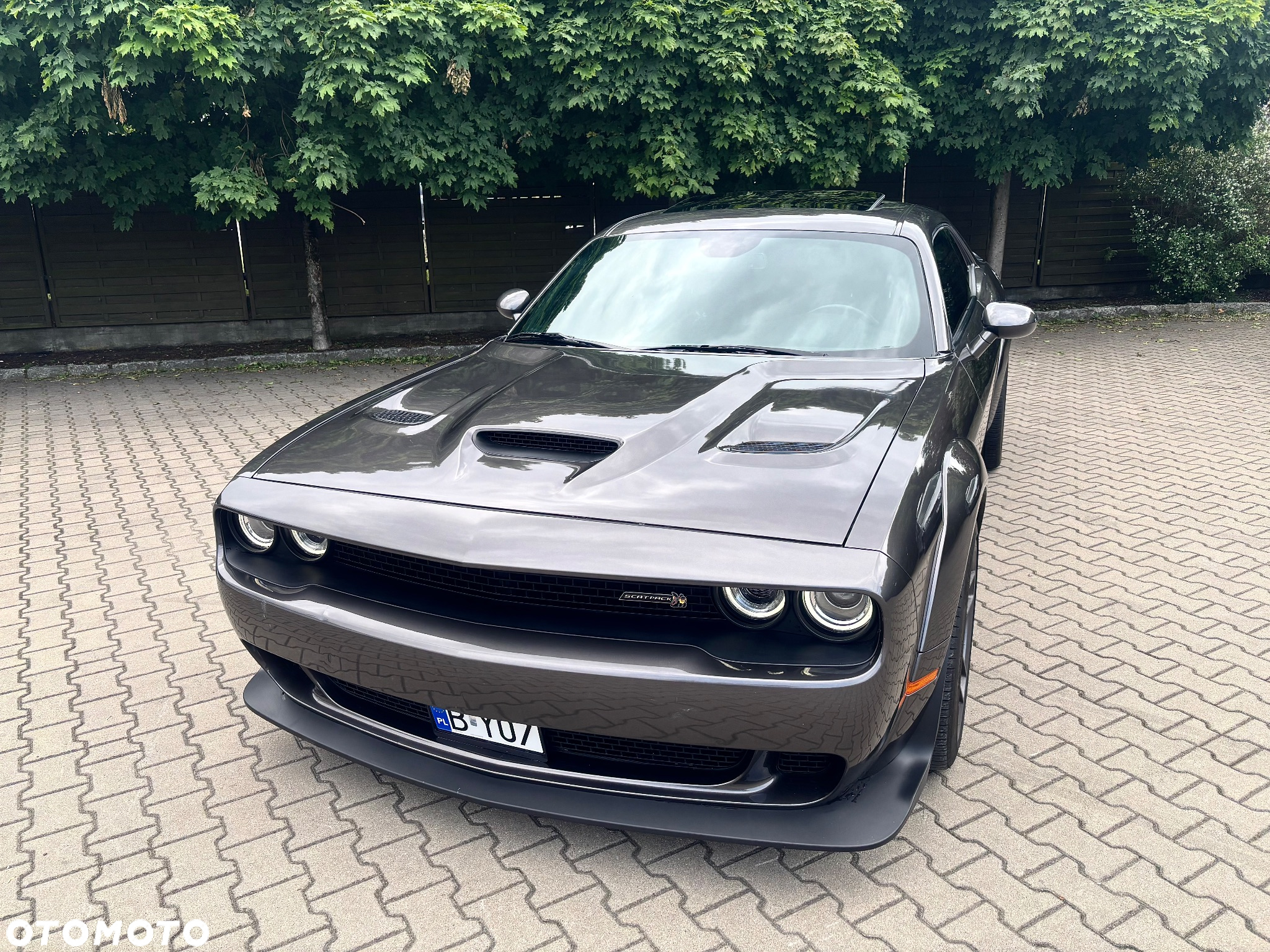 Dodge Challenger 6.4 Scat PackWidebody - 20