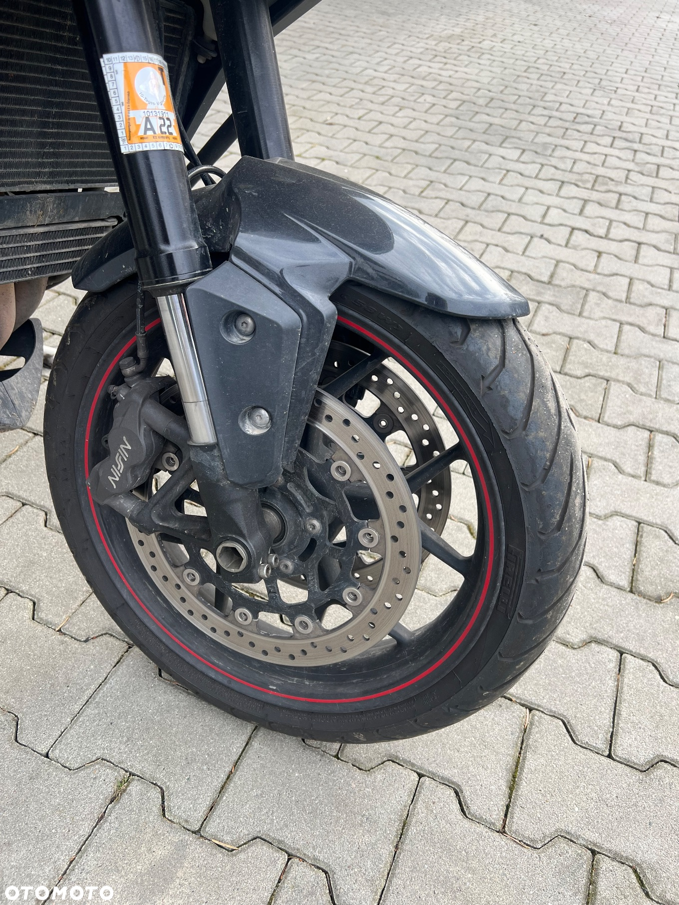 Triumph Tiger - 4