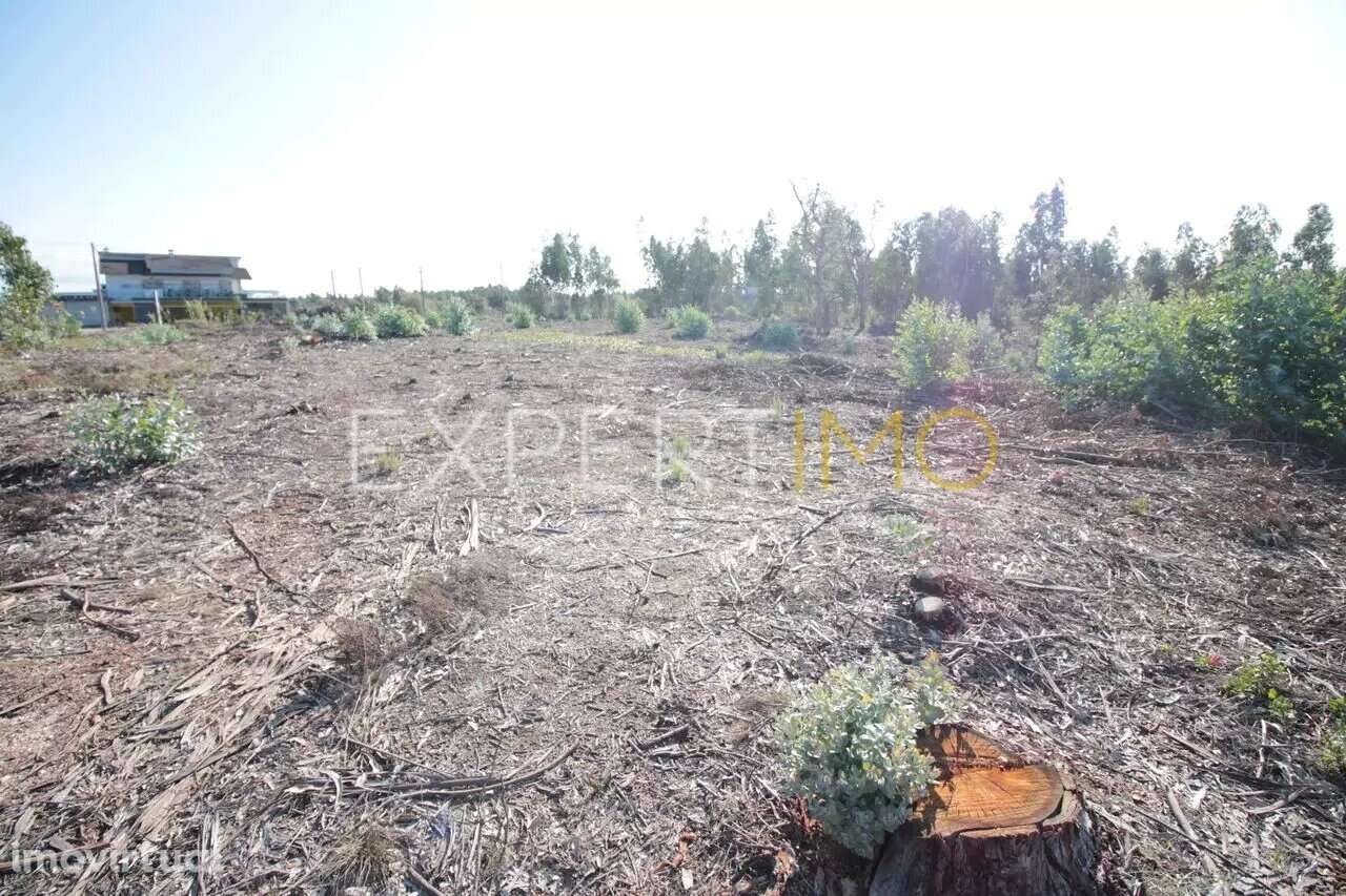 Terreno em Leiria com 75400 m2 para construção - Grande imagem: 5/5