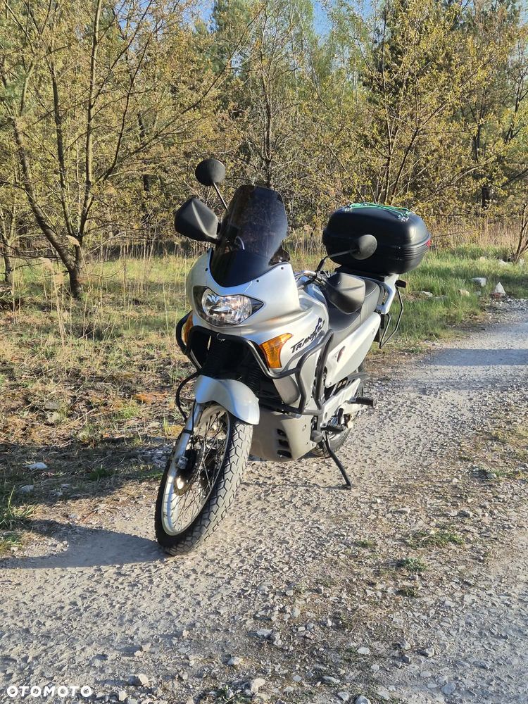 Honda Transalp - 2