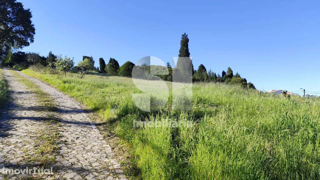 Quinta T6 - Grande imagem: 3/42