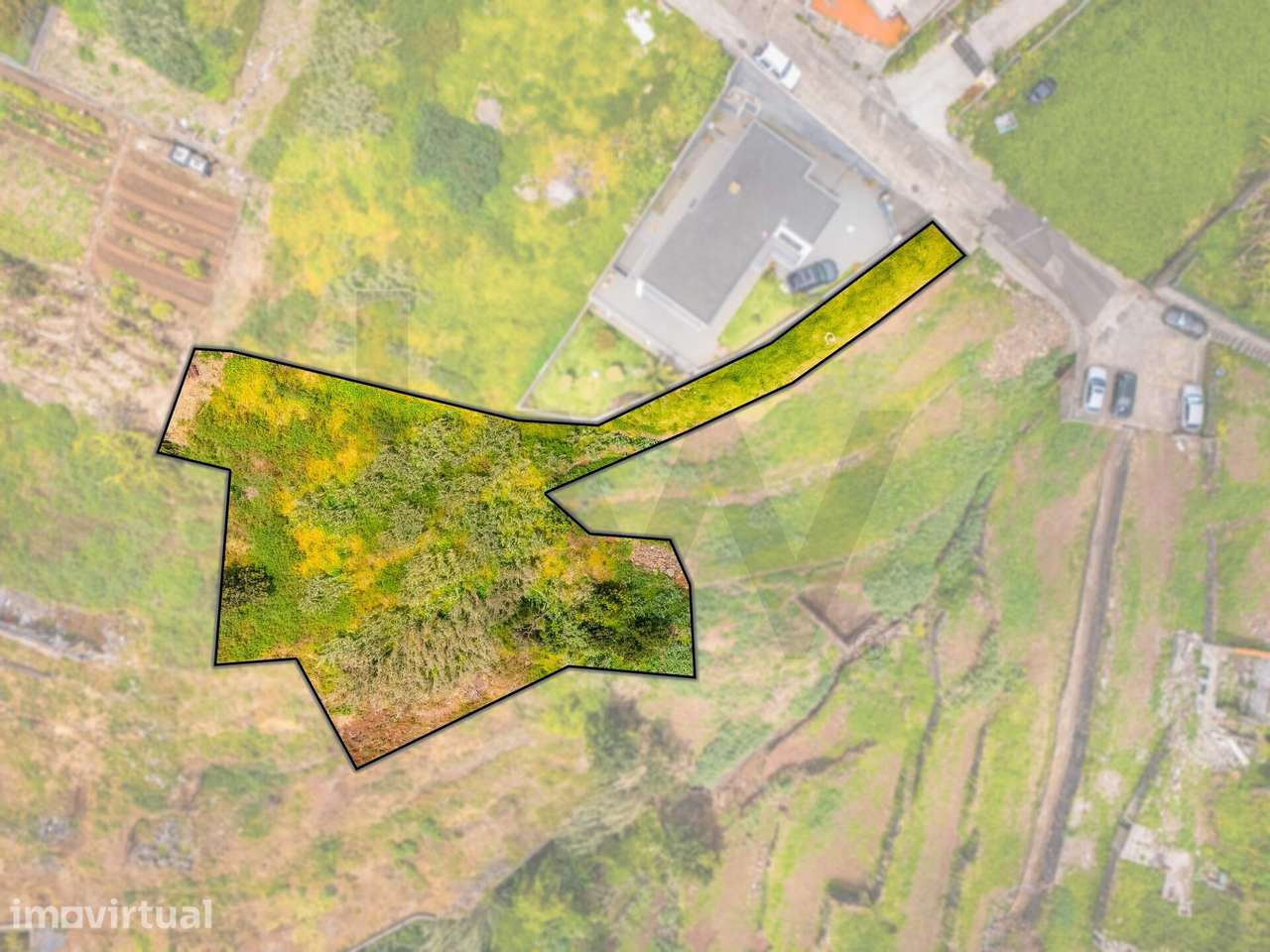 Terreno Exclusivo com Vista Panorâmica sobre a Baía do Funchal - Grande imagem: 5/46