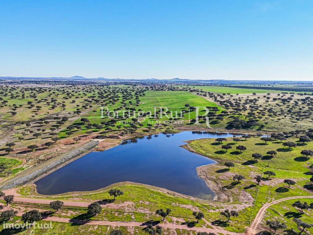 Herdade com 844 hectares - Ganadeira para pastagem e Engorda de Ani... - Grande imagem: 3/49
