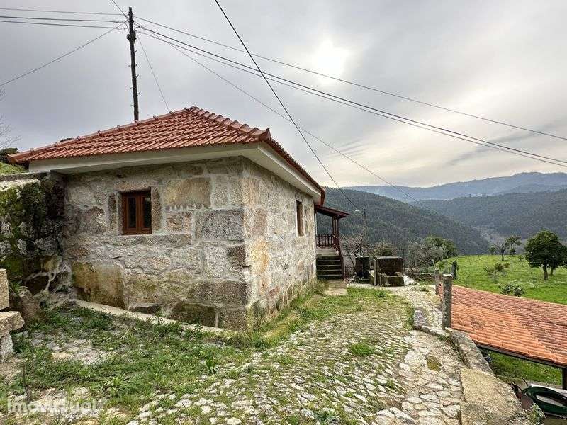 Quintinha em Arouca com 5700 m2 - Grande imagem: 5/12