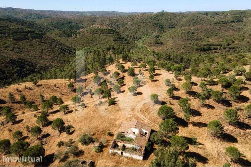 Oportunidade de Investimento | Turismo Rural | 60 hectares na Deslumbr - Grande imagem: 3/44