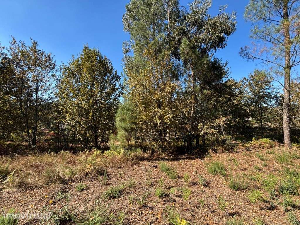 Terreno Agrícola para Venda em Friande, Póvoa de Lanhoso - Grande imagem: 3/31