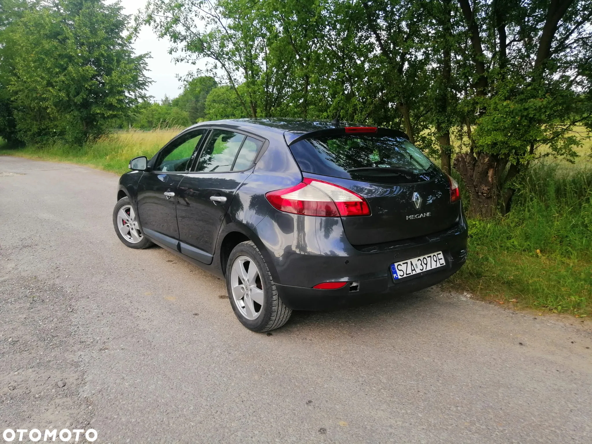 Renault Megane - 33