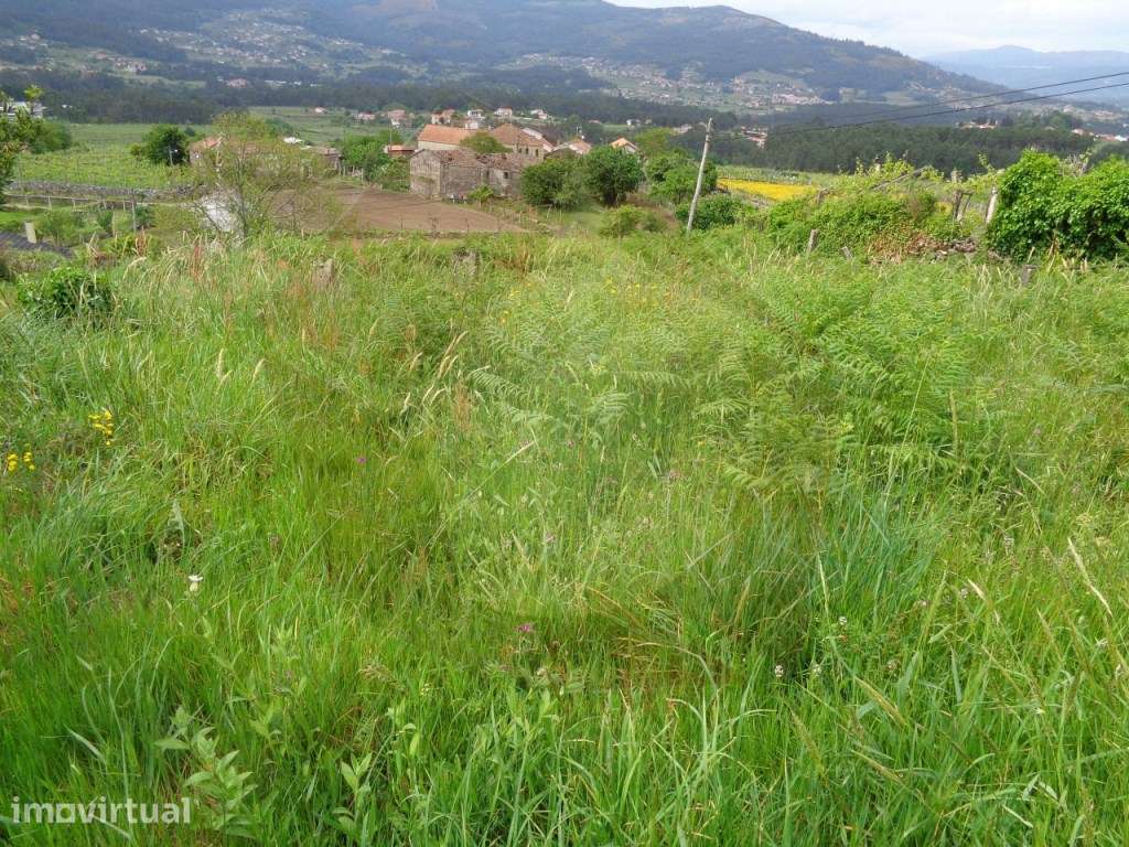 TERRENO URBANO - MELGAÇO - Grande imagem: 2/18