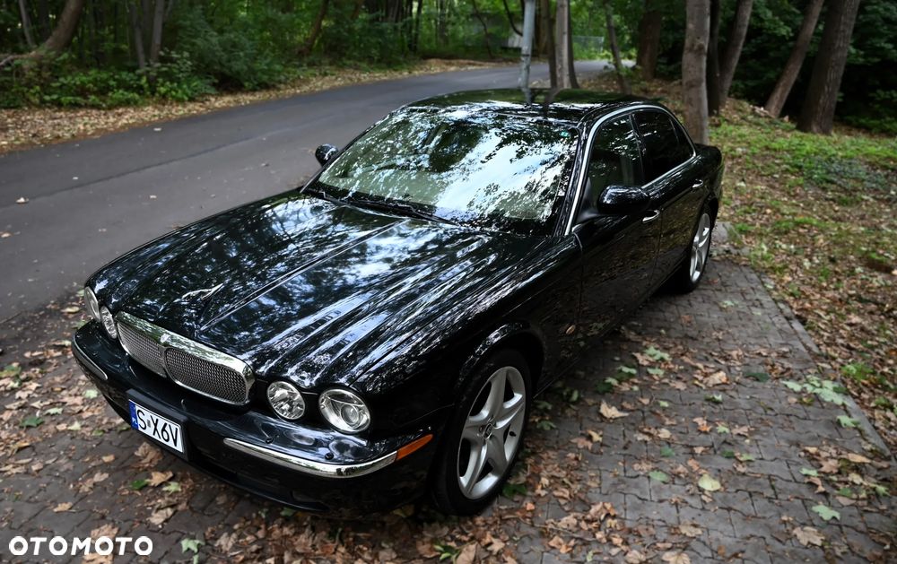 Jaguar XJ XJ8 4.2 Executive - 6
