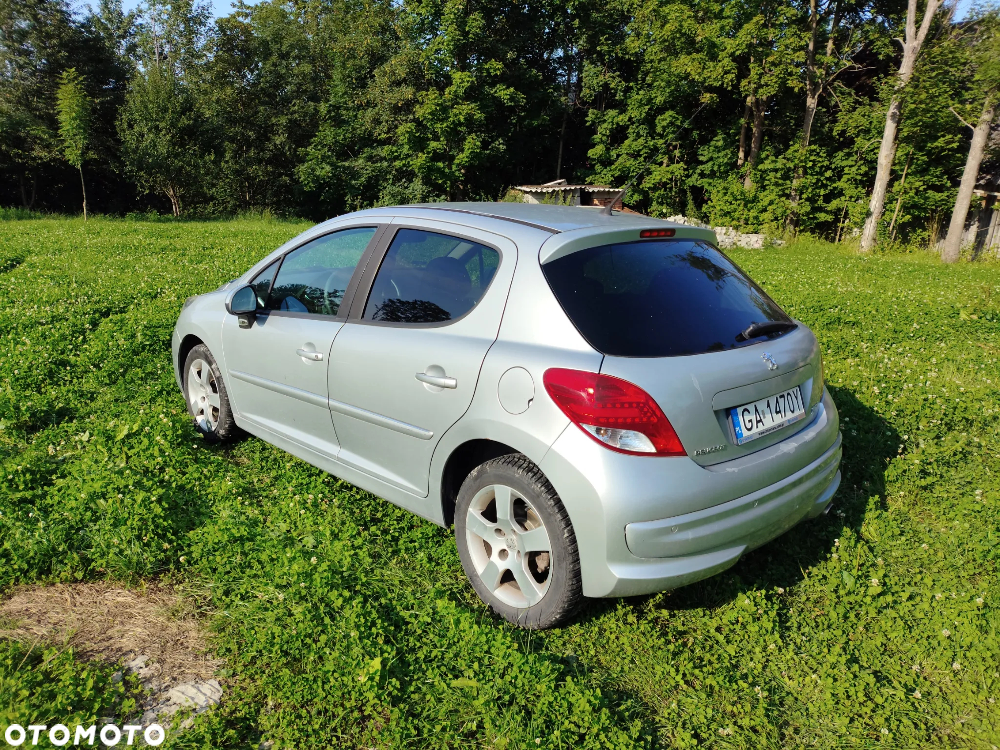 Peugeot 207 - 3