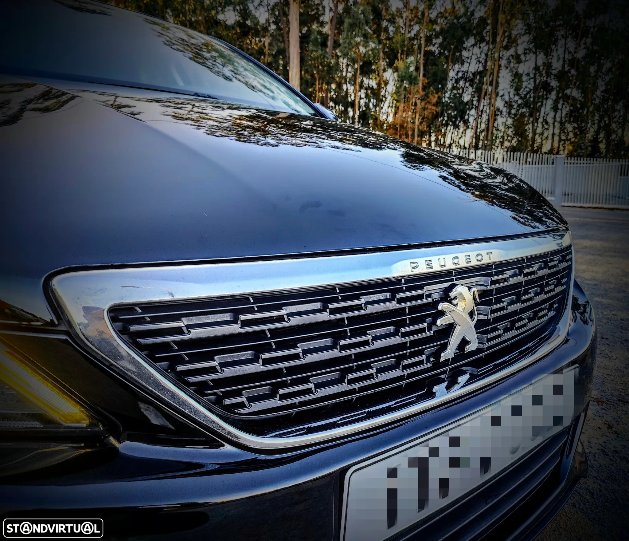 Peugeot 308 1.6 BlueHDi Active J17 - 19