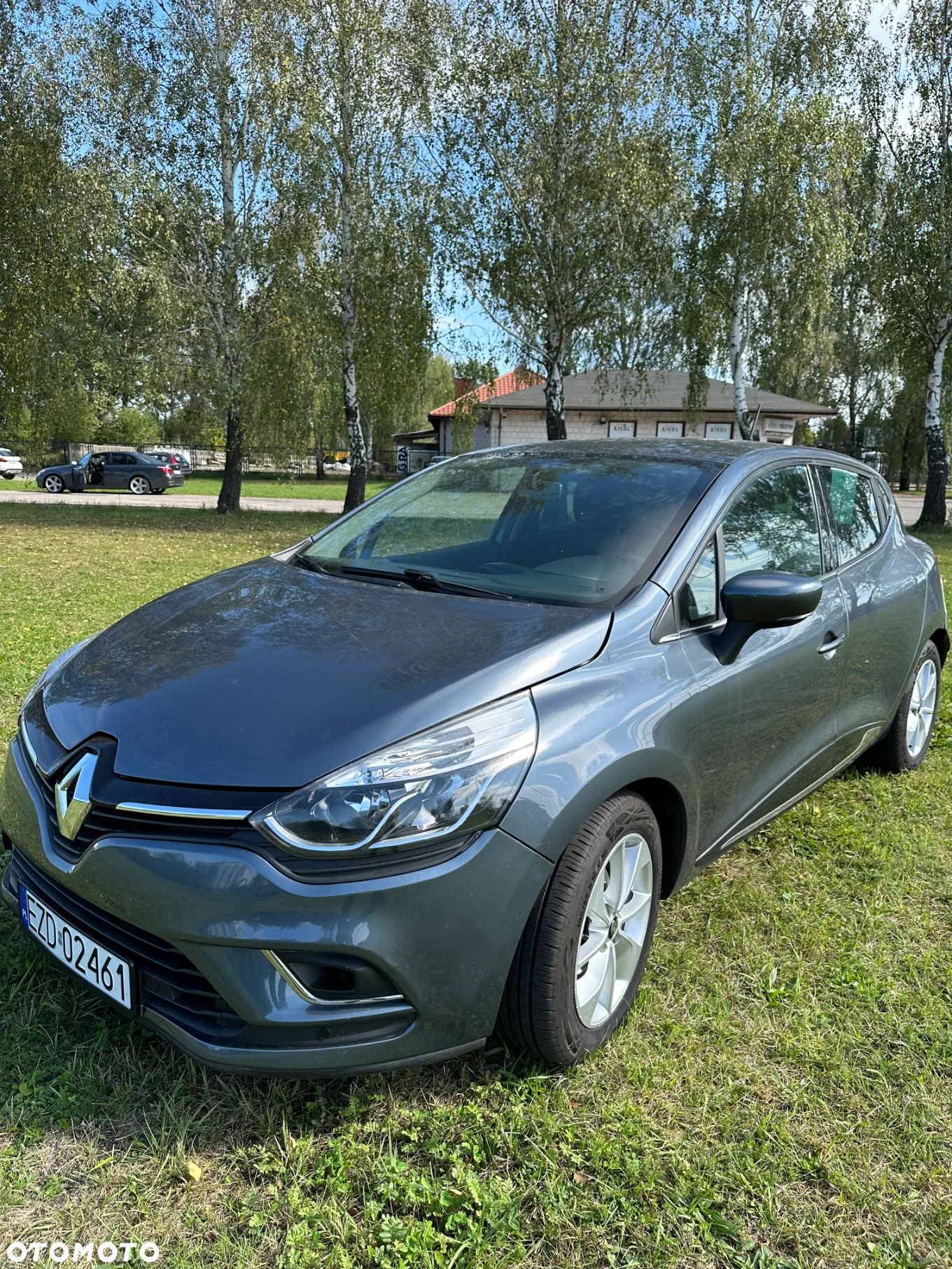Renault Clio - 1