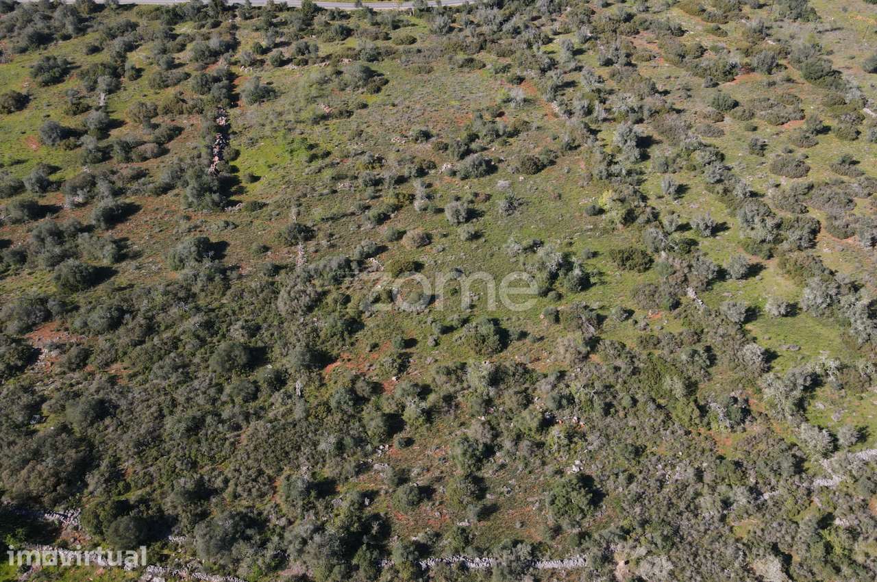 2 Terrenos Rústicos com uma área de 23.960m2, Messines - Grande imagem: 3/20