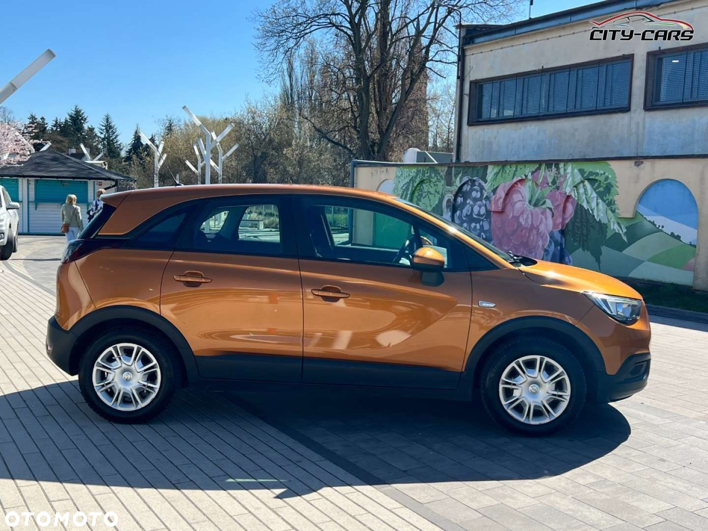 Opel Crossland X - 10