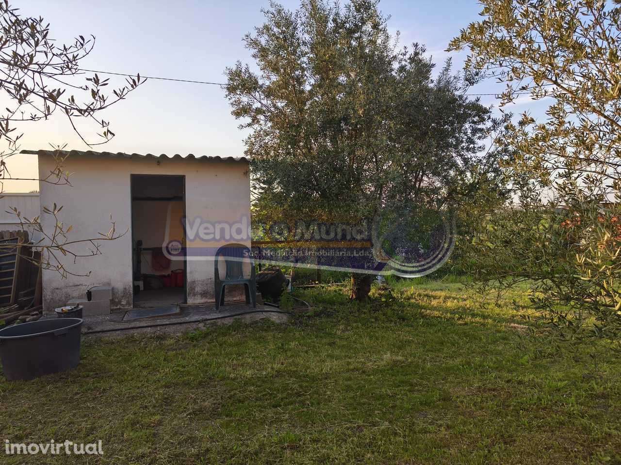 Terreno em Marinhais (M812) - Grande imagem: 2/7