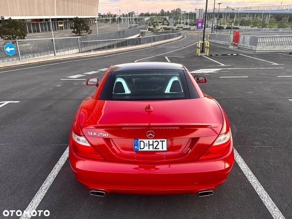 Mercedes-Benz SLK 250 (BlueEFFICIENCY) 7G-TRONIC - 21
