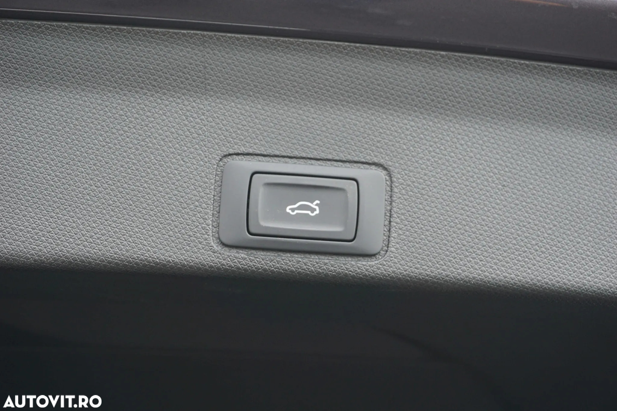 Cupra Terramar - 39