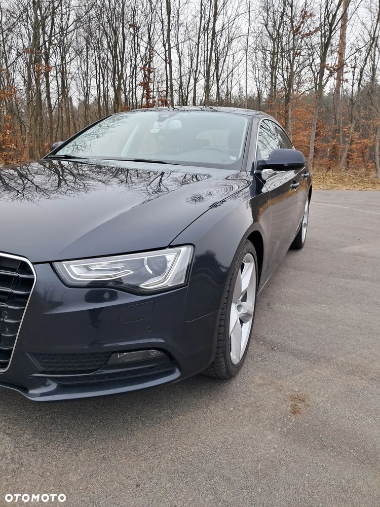 Audi A5 Sportback 2.0 TDI (clean diesel) DPF multitronic - 13