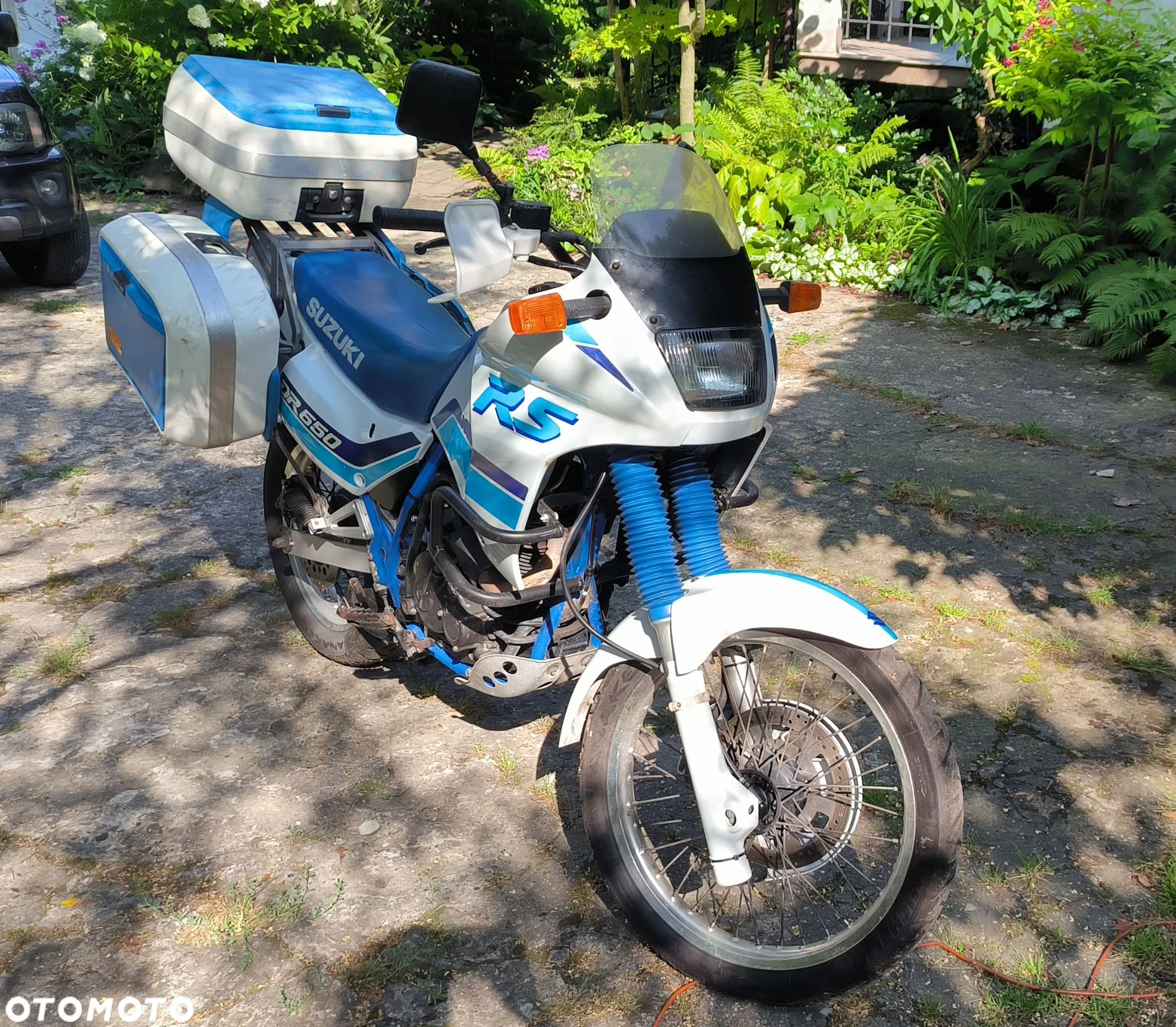 Suzuki DR