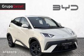 BYD Dolphin Surf - 7