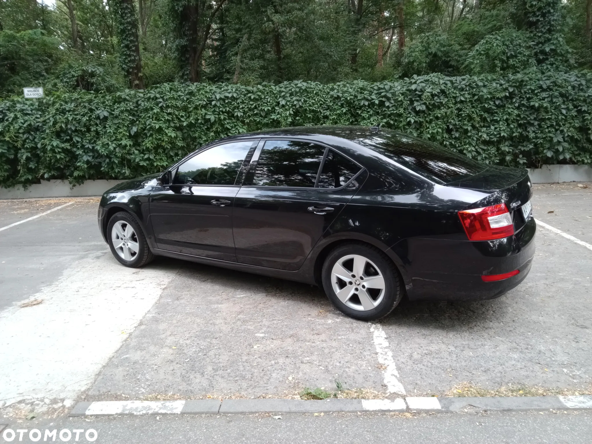 Skoda Octavia 1.8 TSI Ambition EU6 - 18
