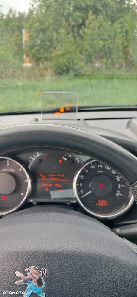 Peugeot 3008 - 13