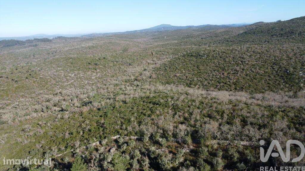 Terreno Agrícola em Freixianda, Ribeira do Fárrio e Formigais - Grande imagem: 5/39